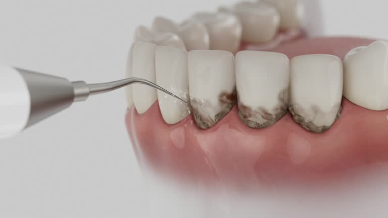 Reliable Dental contractor in Bogata, TX by Dentist Open Now